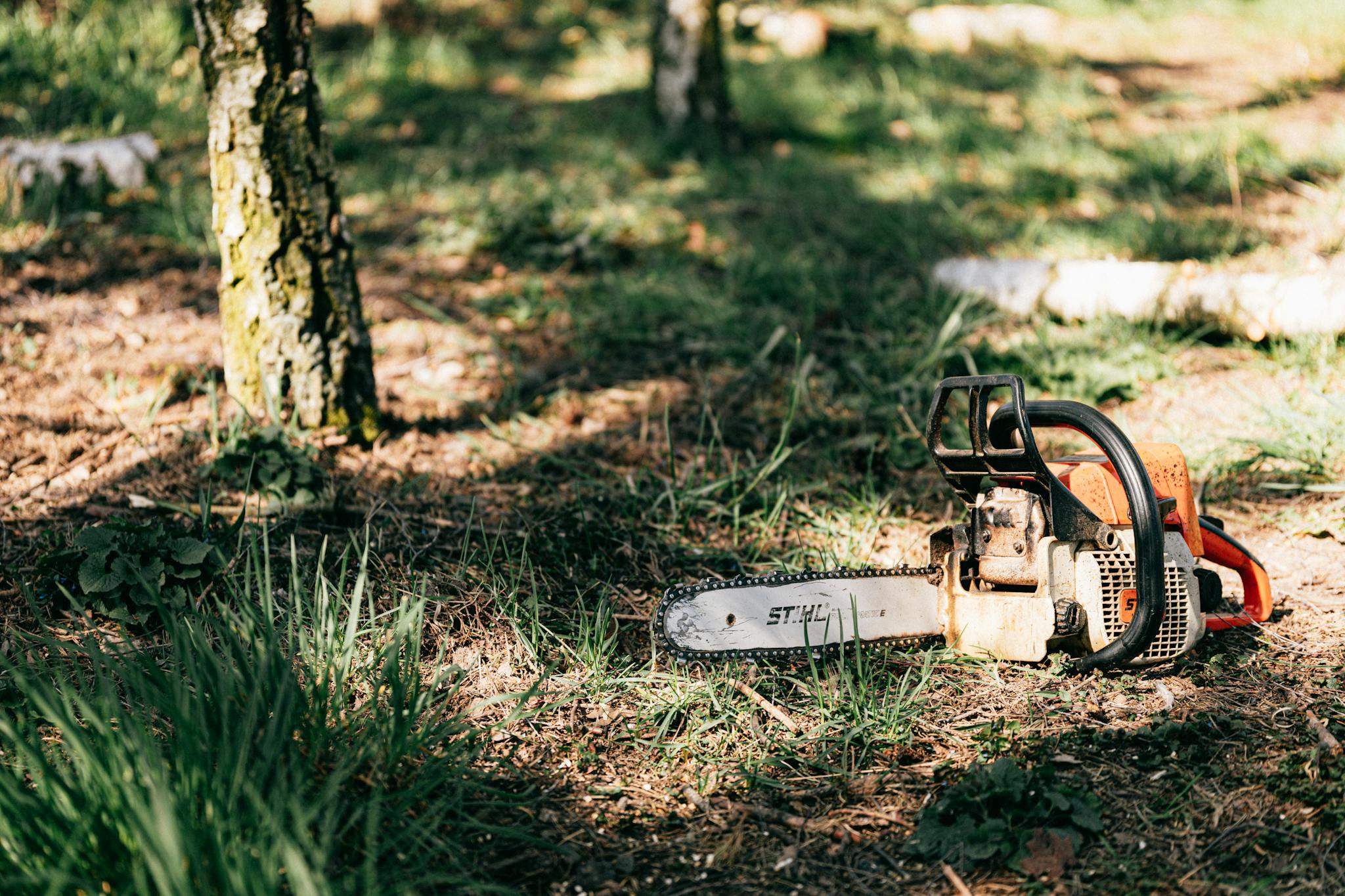 A chainsaw lies on the ground amidst grass and trees, bathed in sunlight.